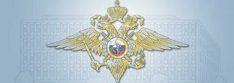 Информационные центры органов внутренних дел