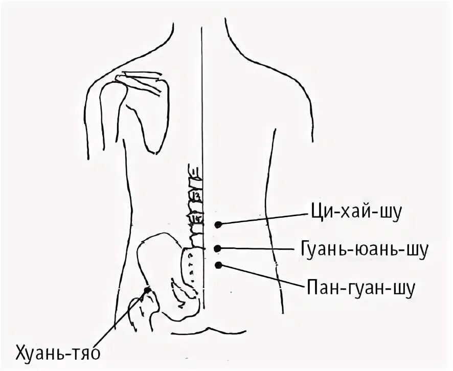Кинезиология сигнальные точки меридианов. Точки шу. Точки шу. Точка v23 шэнь-шу. Сигнальные точки меридианов в прикладной кинезиологии.