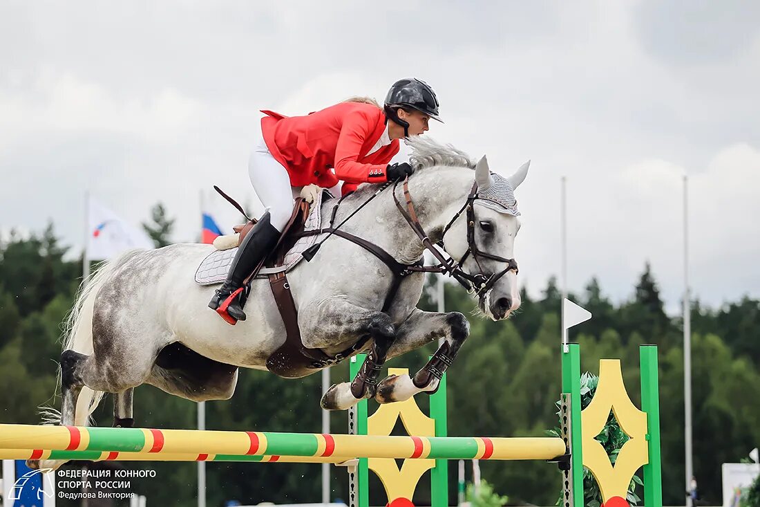 Кск в россии. Конный спорт соревнования конкур.