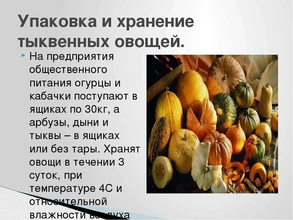 Овощные культуры семейства тыквенных. Классификация овощей тыквенные овощи. Хранение плодов и овощей. Хранение тыквенных овощей. Качество плодов и овощей