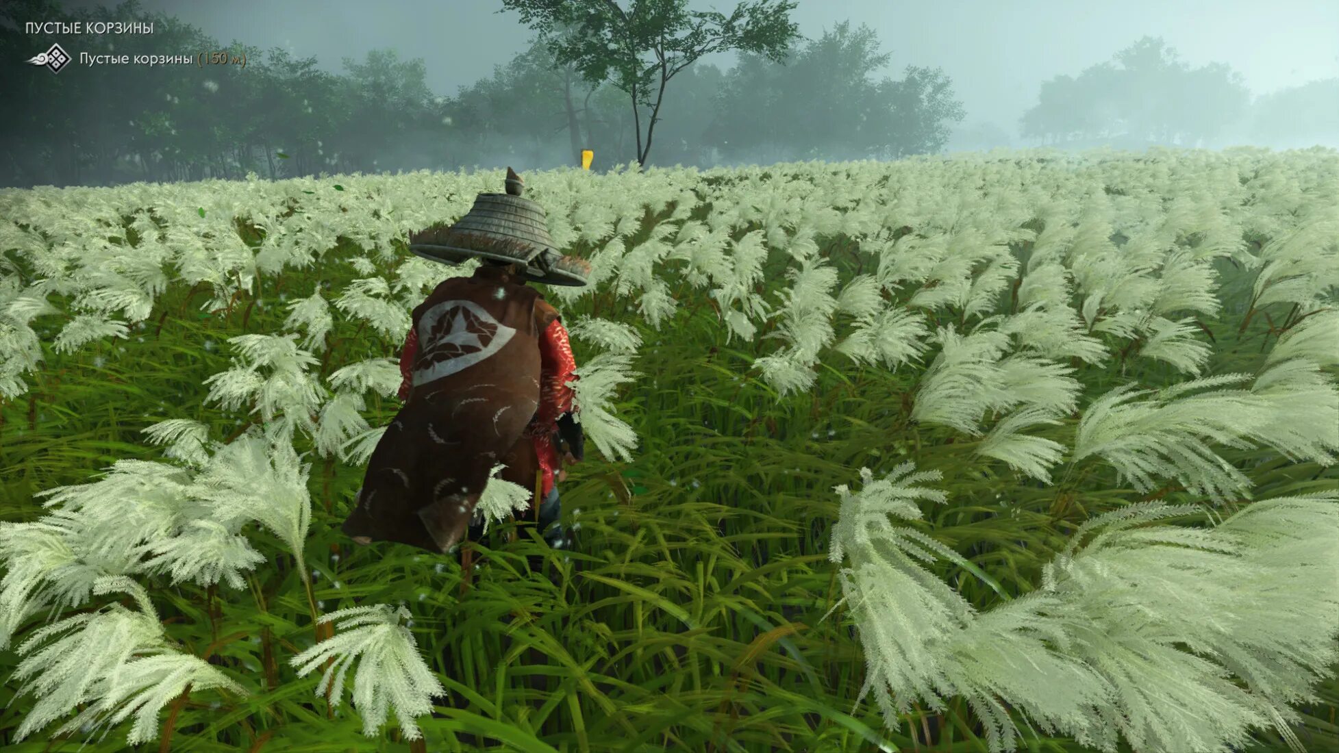 Ghost of tsushima требования. Ghost of tsushima трава. белая трава призрак цусимы. ghost of tsushima поле. белая трава в японии.