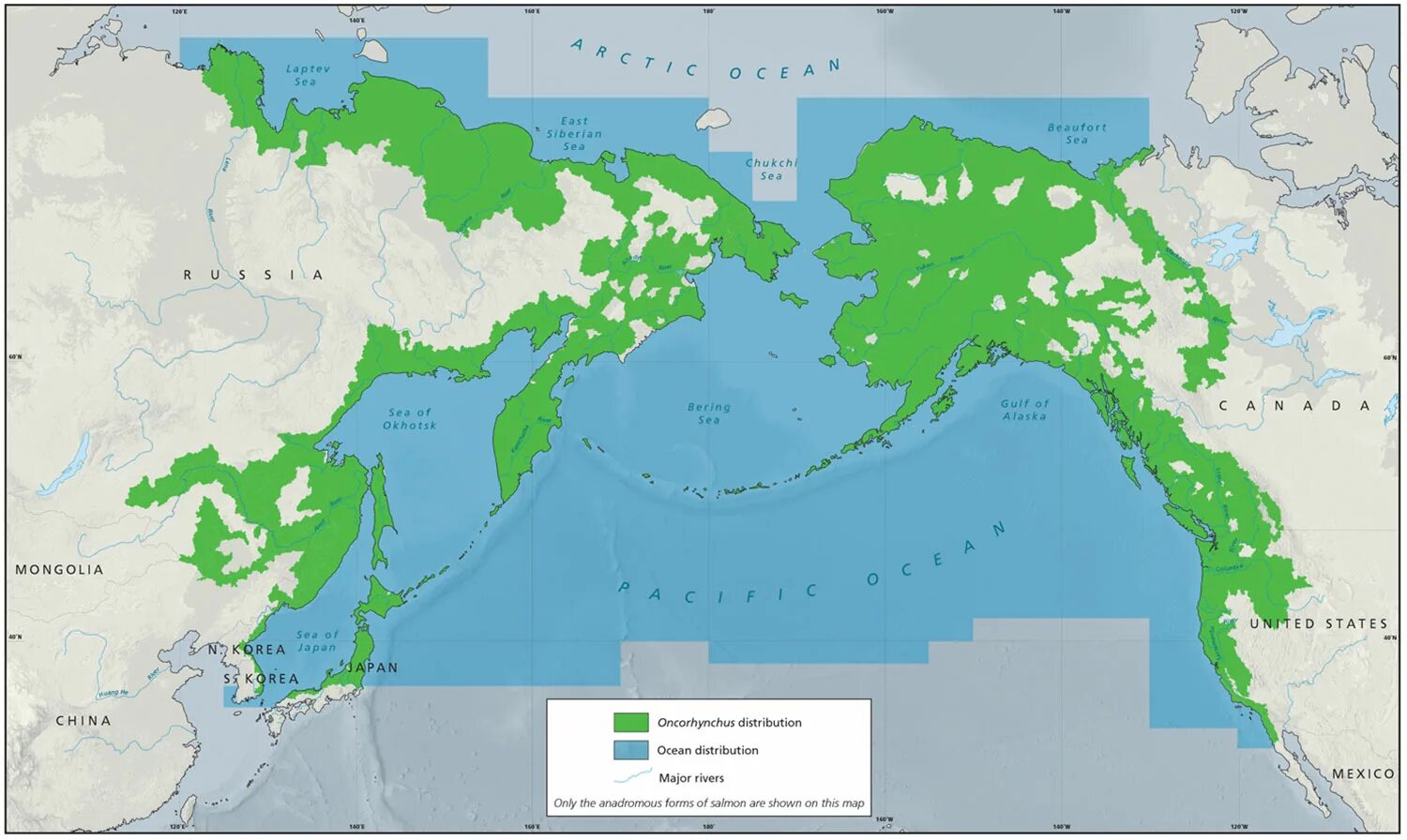 Камчатский расселение. Лососевые ареал обитания карта. Ареал обитания тихоокеанских лососей. Чавыча ареал обитания. Горбуша ареал обитания карта.
