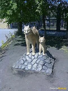 Зоопарк авиастроителей воронеж