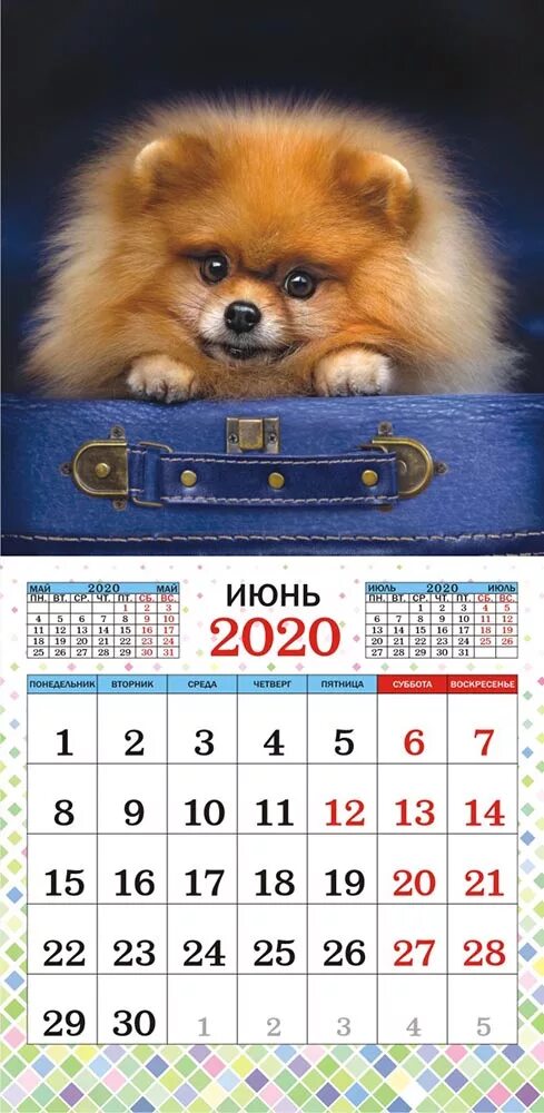 Год собаки 2018. Календарь 2018 год собаки. Календарь 2018 год собаки. Календарь 2018 год собаки. Календарь собака.