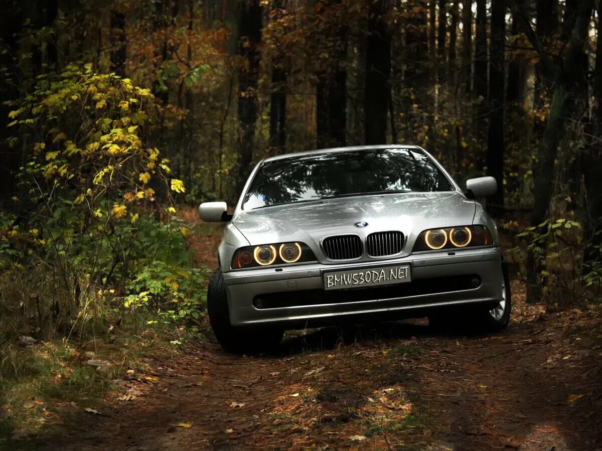 Дром е39. BMW 5 е39. БМВ 525 е39. БМВ е39 520i. БМВ 530i e39.