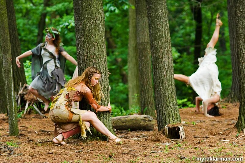 Остров пауков марвел. Паук logan. Daz studio остров. «midsummer reserve». Island issue.