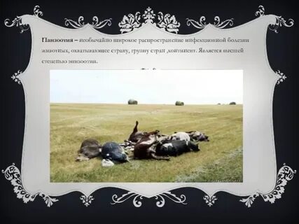 Панзоотия это