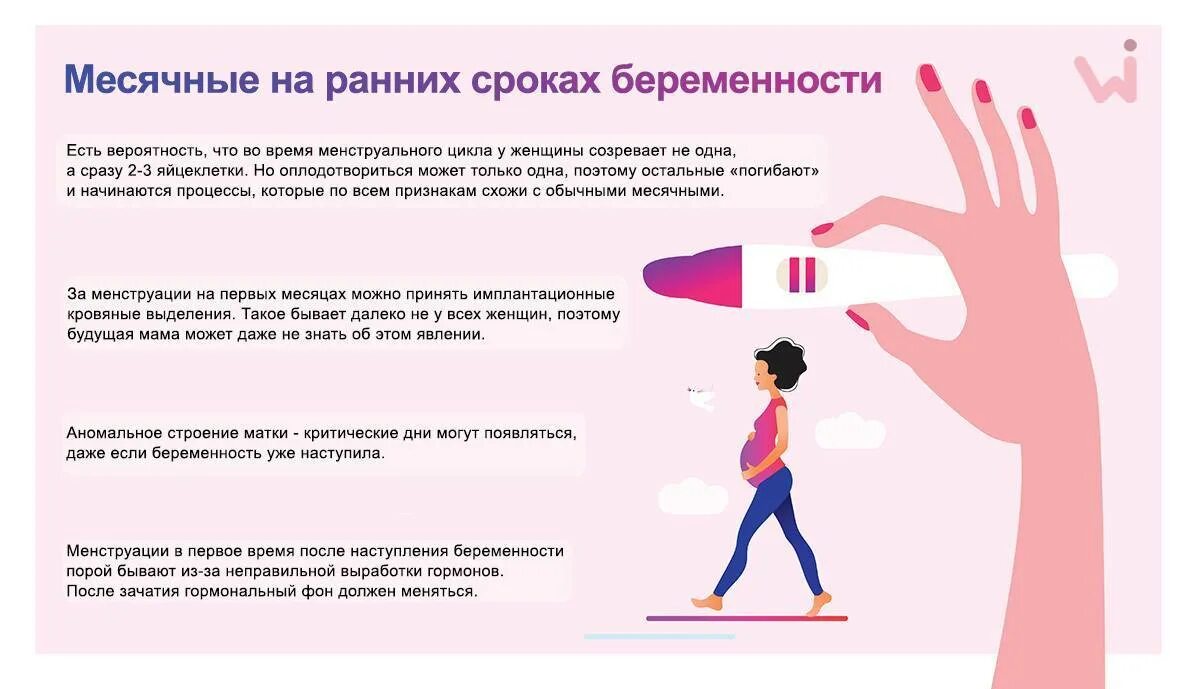 Как понять месячные или беременность. Могут ли быть месячные при беременности. могут ди при беоеменности идти месчные. может ли быть беременность при месячных. могут ли быть мемячны епри беременности.