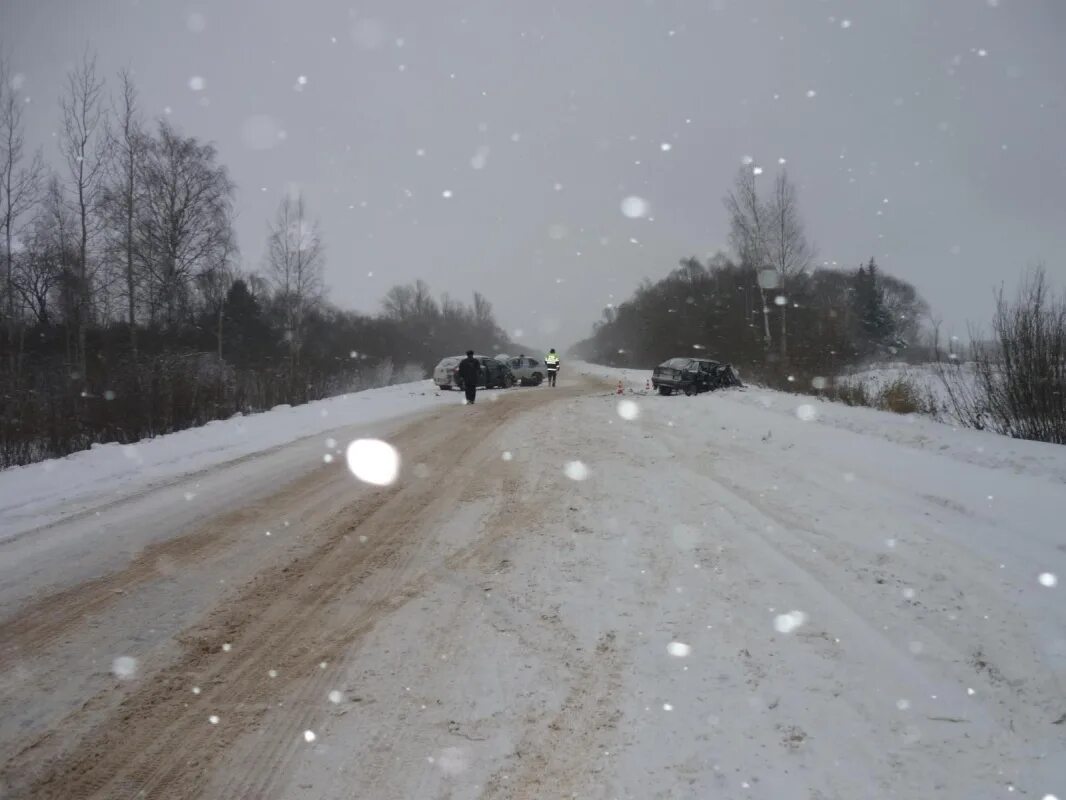 Погода шимске на 10 дней новгородской