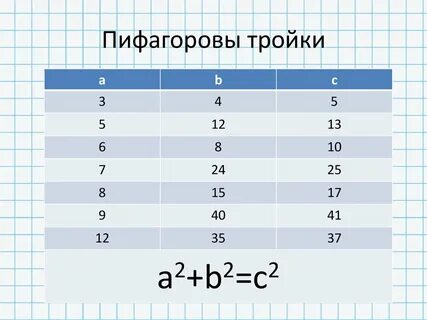 Сперматозоидпен жыныстық қатынас