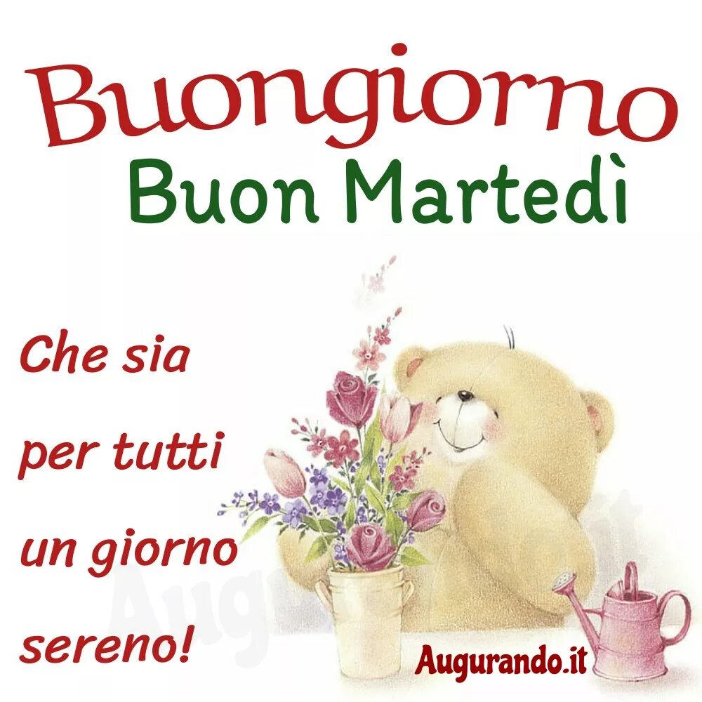 Buongiorno перевод. Buon martedì открытки на итальянском. Buon martedi картинки. Buongiorno. Buon martedi Италия.