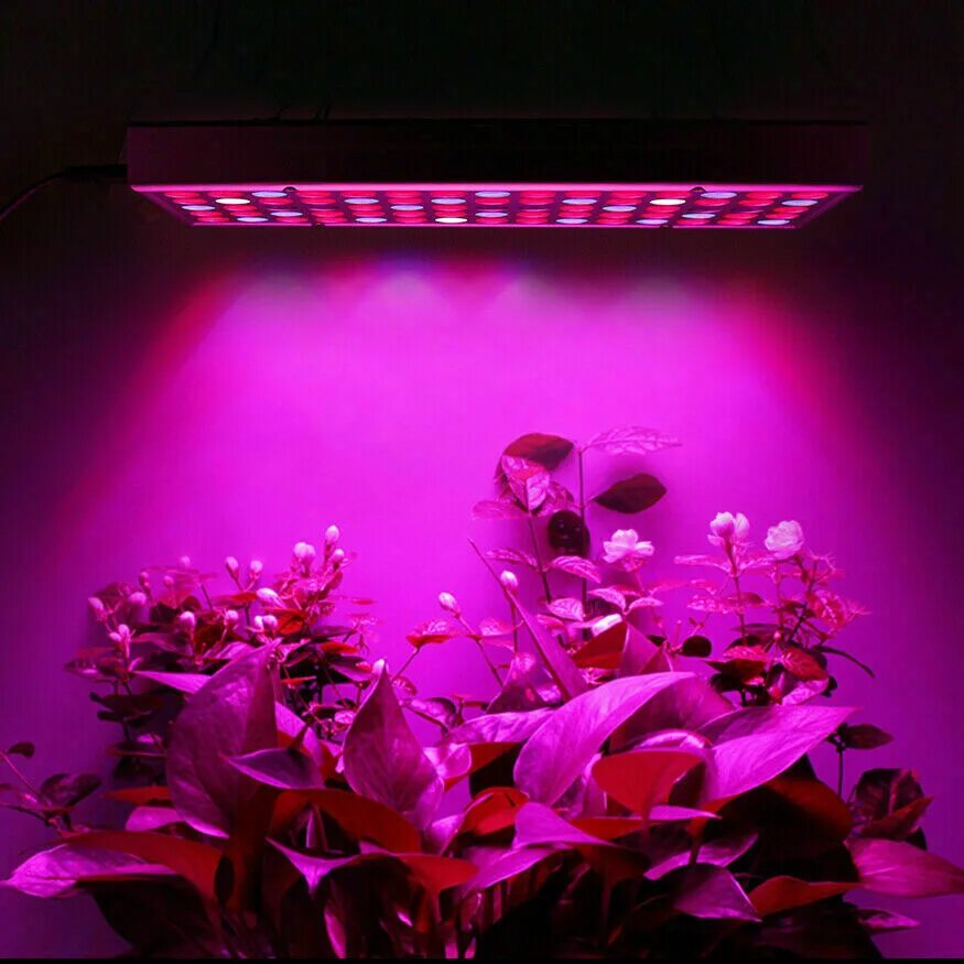 Led grow plant. Фитолампа led grow Light. Светодиодная лампа grow Light led grow Light. Фитолампа для растений светодиодная полный спектр. Фул Спектрум лампа для растений.
