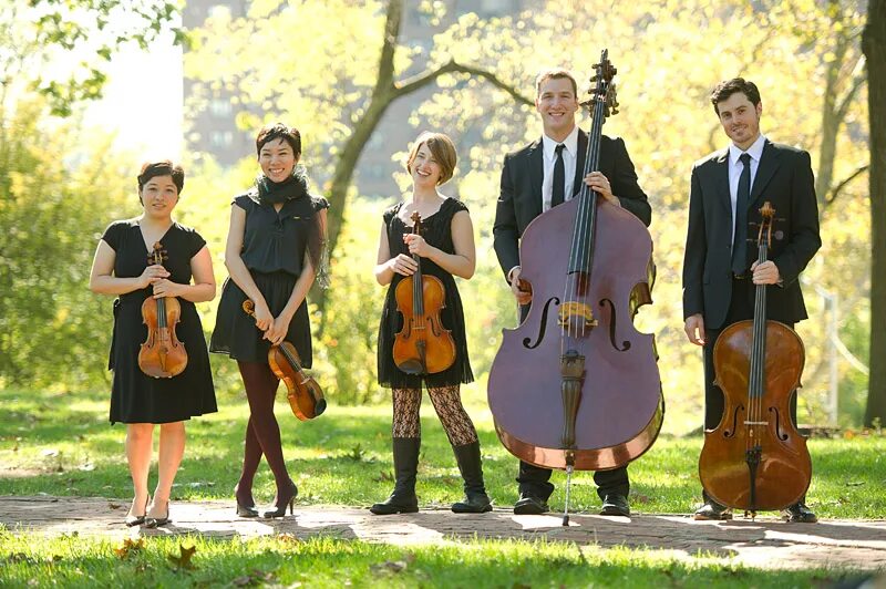 Группа strings