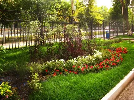 Питомник растений пермь