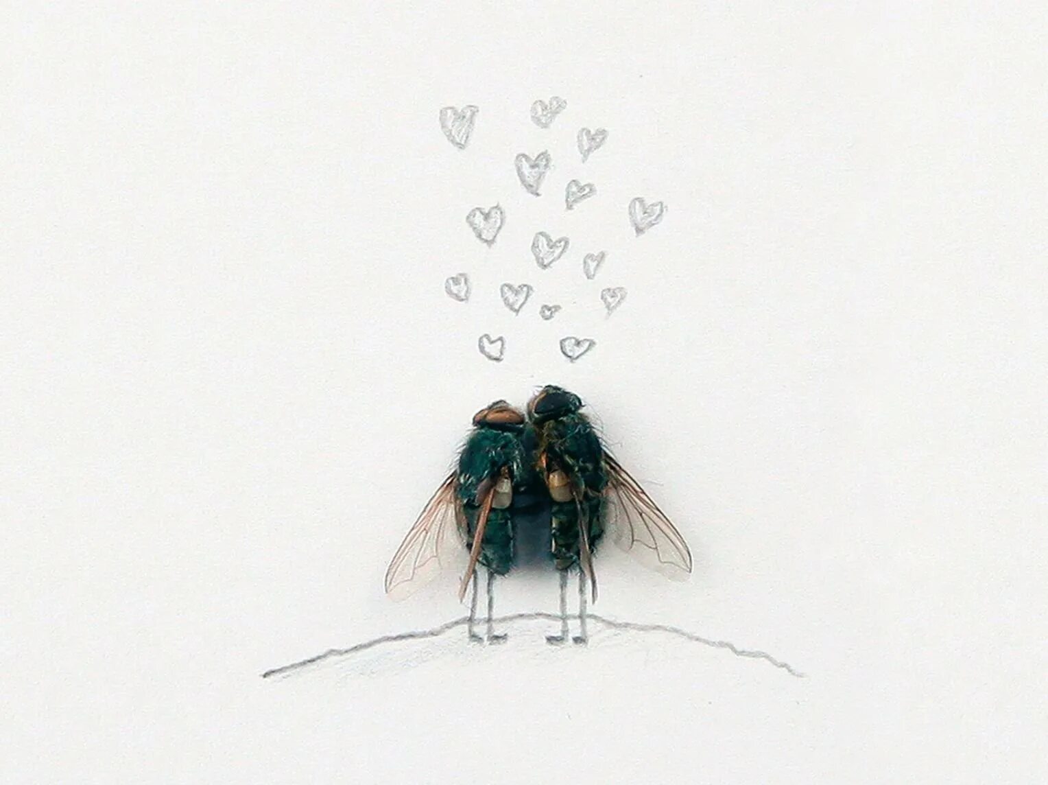 Поцеловал муху. Магнус Мур мухи. Magnus Muhr и его мухи.. Муха рисунок. Сонная Муха.
