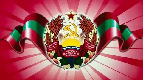 2023 33 года