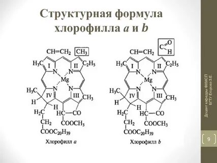 Сложная структурная формула