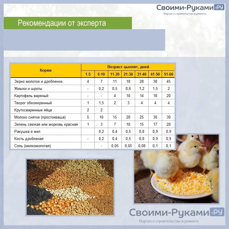 Куры сколько корма в сутки. Корм для цыплят несушек с первых дней. Кормление цыплят несушек с первых. Таблица корма цыплят несушек. Рацион суточных цыплят.