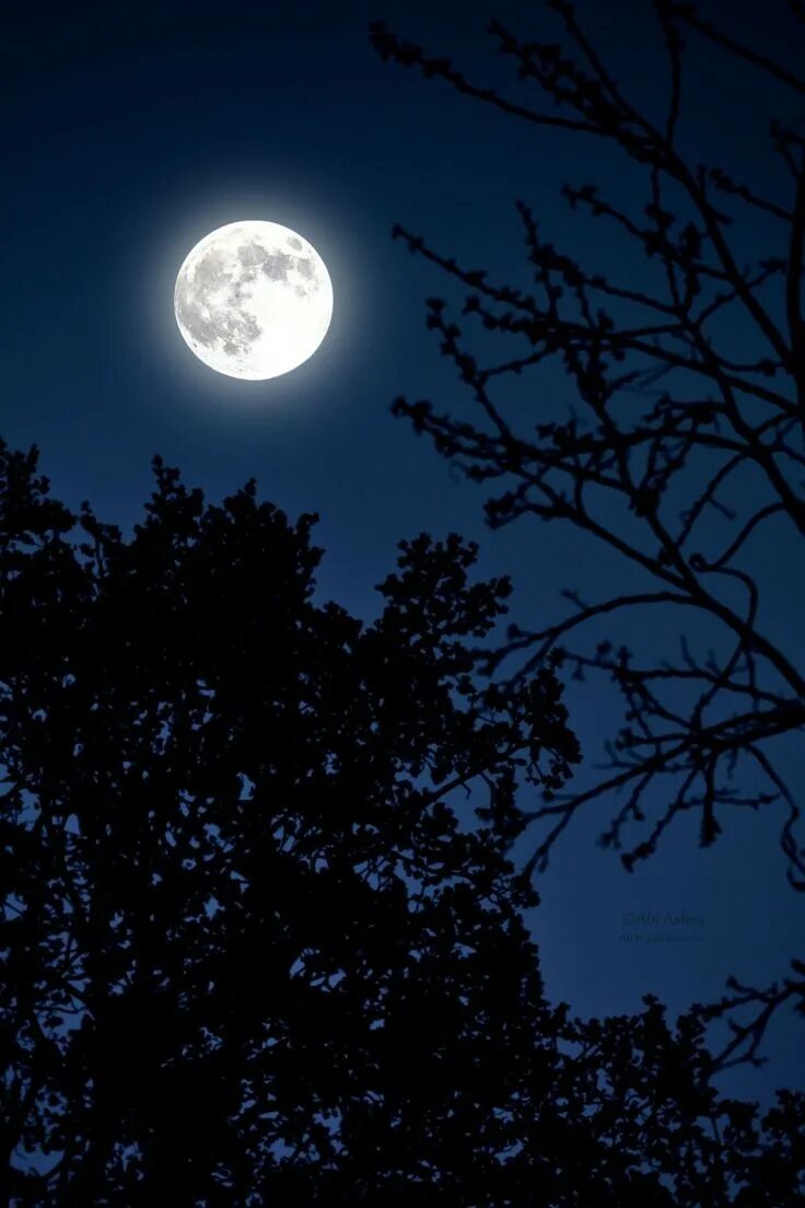 Каким цветом луна на небе. Ночь Луна. Ночное небо с луной. Ночь полнолуния. Луна на небе.