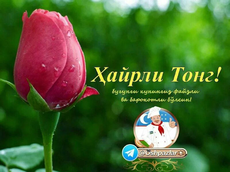 Хайрли тонг пайшанба тонги. Тонг муборак. Хайрли тонг билан. Хайрли тонг жума муборак. Хайирли тонг жоним.