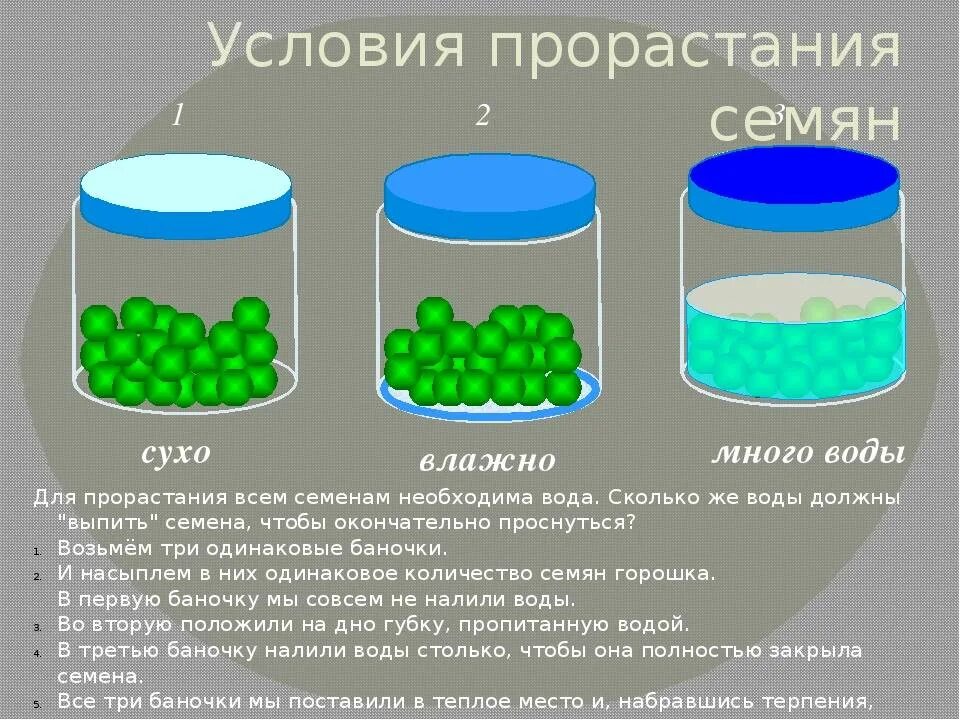 Экспериментатор решил изучить процессы
