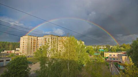 Лет отрадный