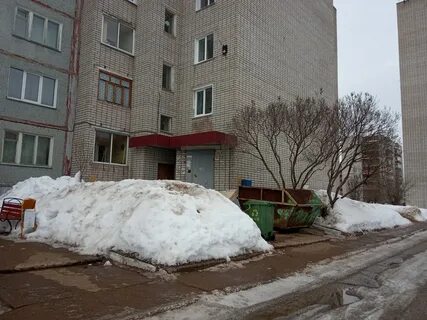 Сосновая 36