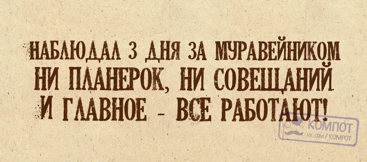 Даже самую простую задачу можно. Бессмысленные совещания. Приколы про совещания на работе. Нужно провести достаточное количество совещаний. Даже самую простую задачу можно сделать невыполнимой если.