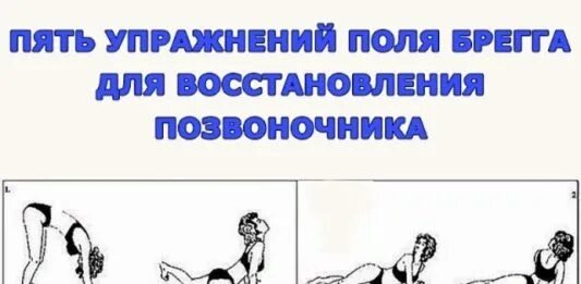 футбольное поле тренировка. пять упражнений поля брэгга для позвоночника. гимнастика поль брэгг 5 упражнений для спины. упражнения на поле. футбол, футболисты, поле, тренировка.