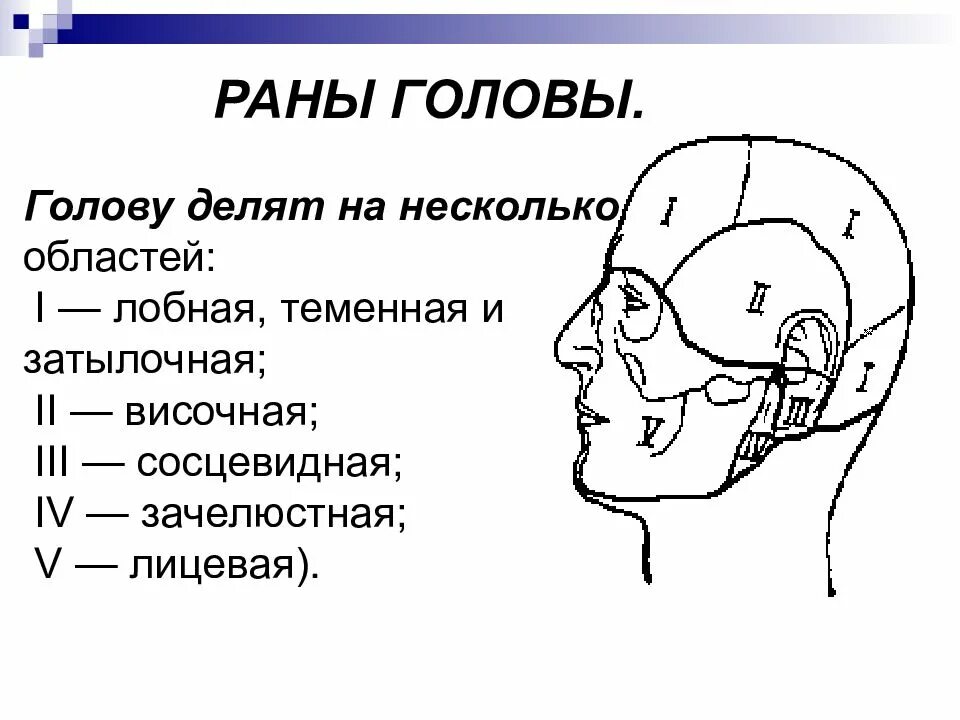 Затылок область. Теменная область головы. Височно-теменная область головы. Височная часть головы. Название областей головы.