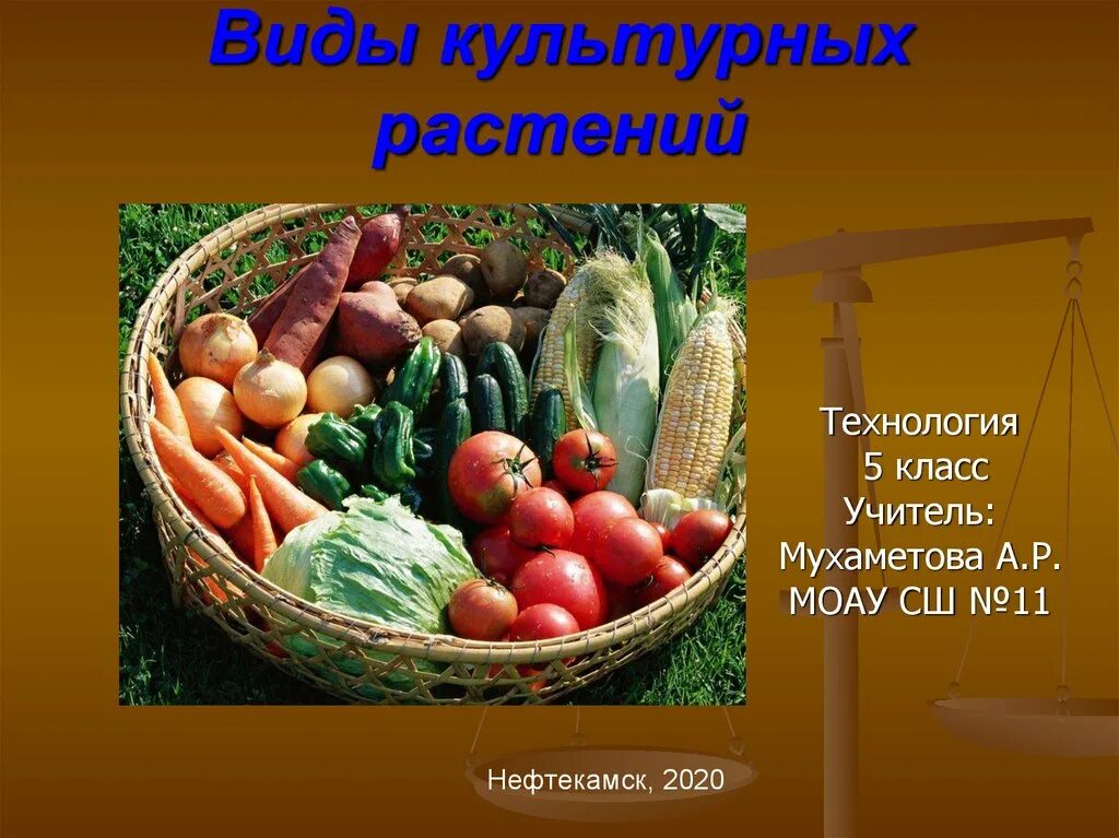 Практическая работа сравнение культурных растений 3 класс. Полезные культурные растения. Культурные растения в жизни человека. Многообразие культурных растений. Культурные растения 5 класс технология.