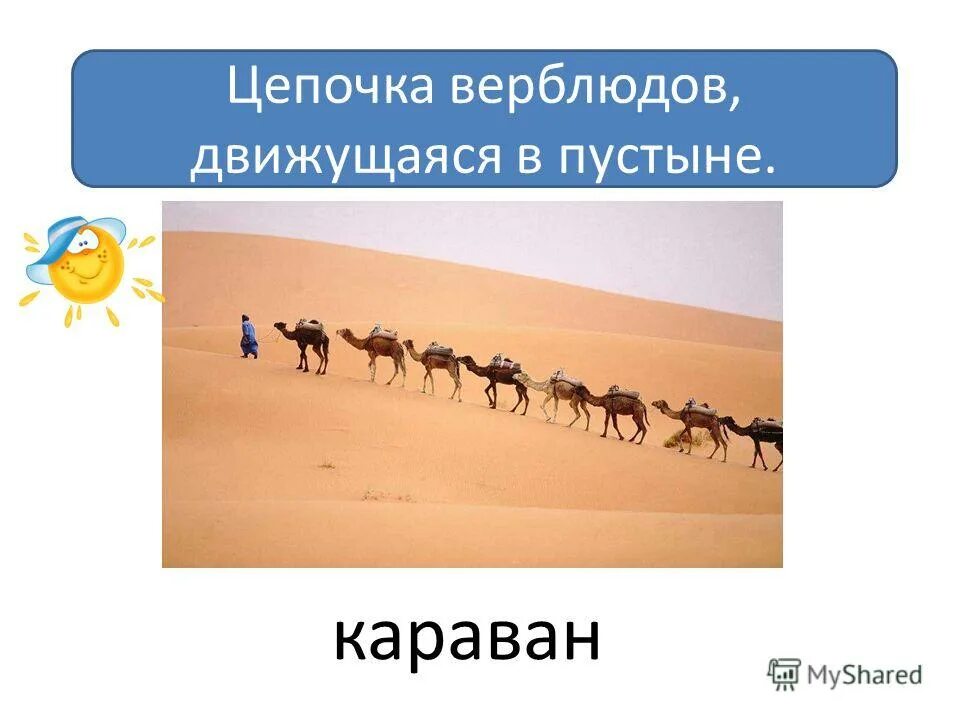 верблюд джо кэмел. верблюжатины. нагруженный верблюд. верблюд в пустыне. верблюд в движении.