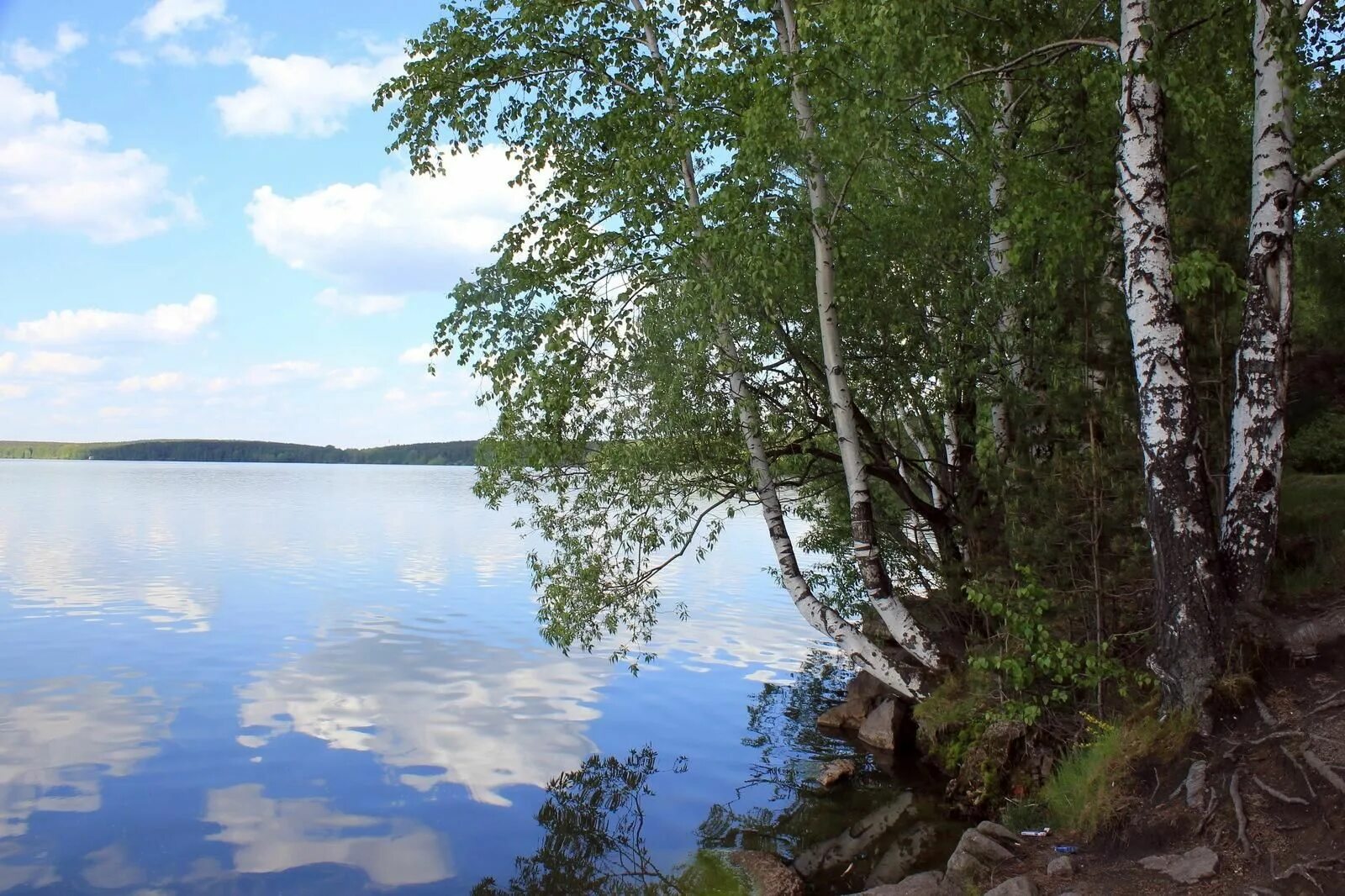 Вода родной край. Красота родного края. Наследие родного края. Духовное наследие родного края. Красота воды родного края Пачелмы.