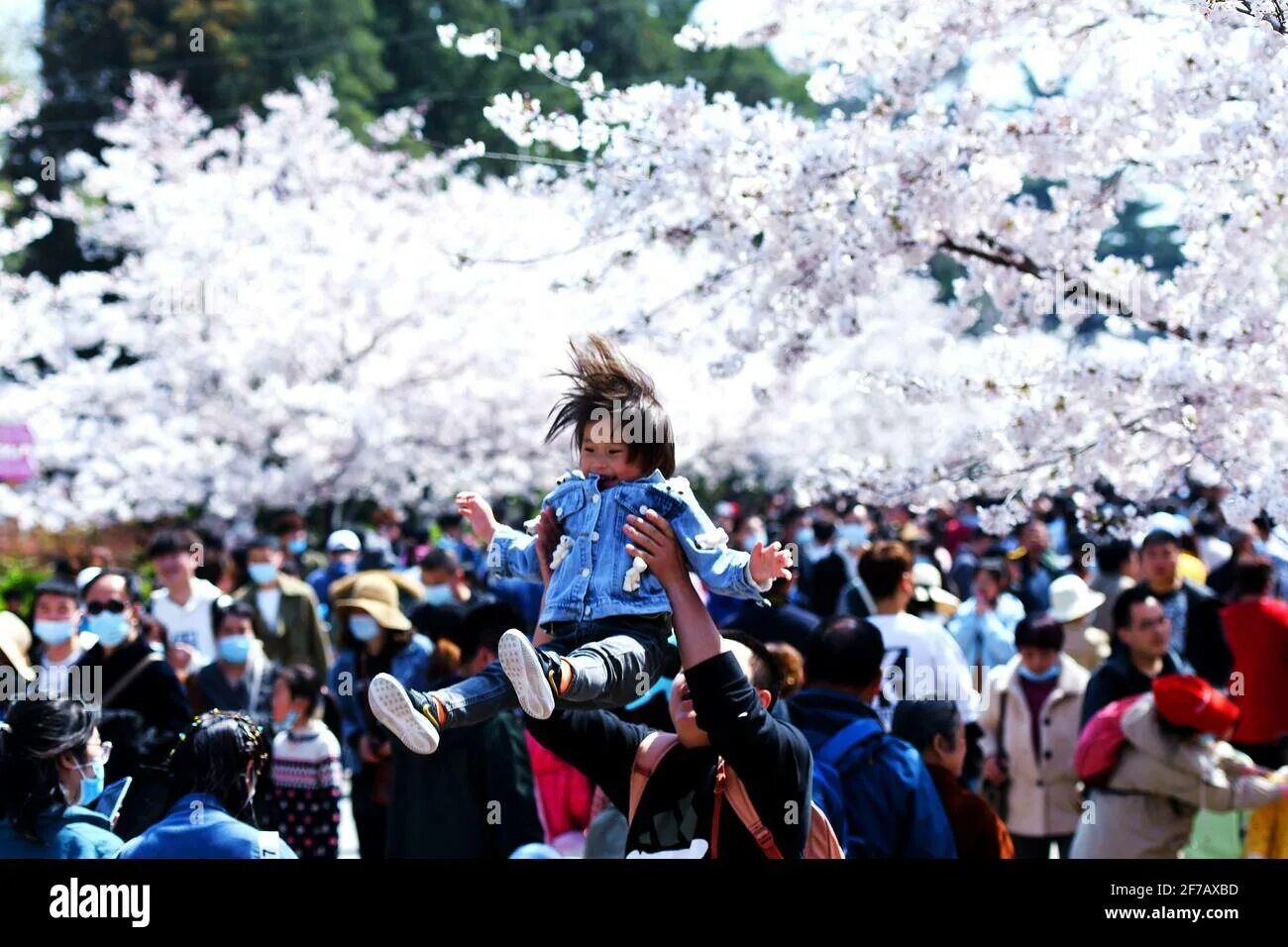 Фестиваль Цинмин в Китае. Qingming Festival в Китае. Цимин праздник в Китае. Праздник чистого света "Цинмин" - Китай.