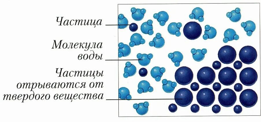 Составляющие частицы воды