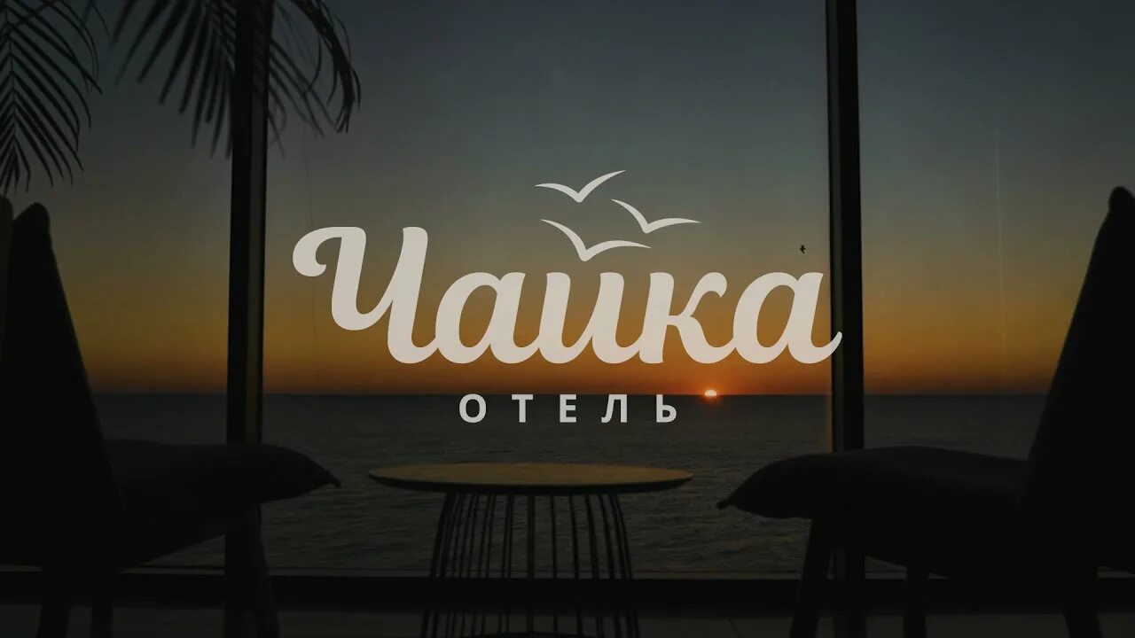 Бутик отель чайка сочи. Чайки фото. Полет чайки сочи. Полет чайки сочи сайт. Гостиница полет чайки сочи.