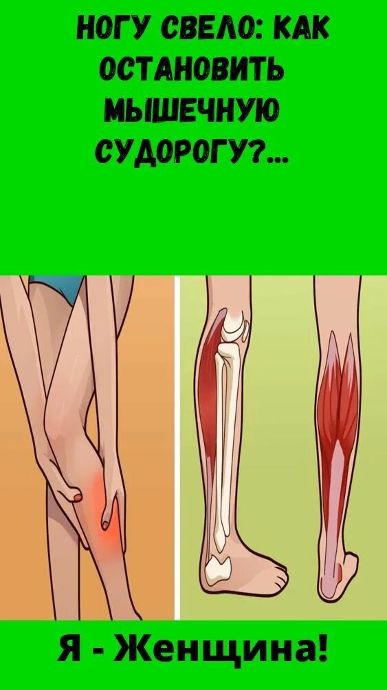 Свело стопу что делать и не отпускает. Свело стопу что делать и не отпускает