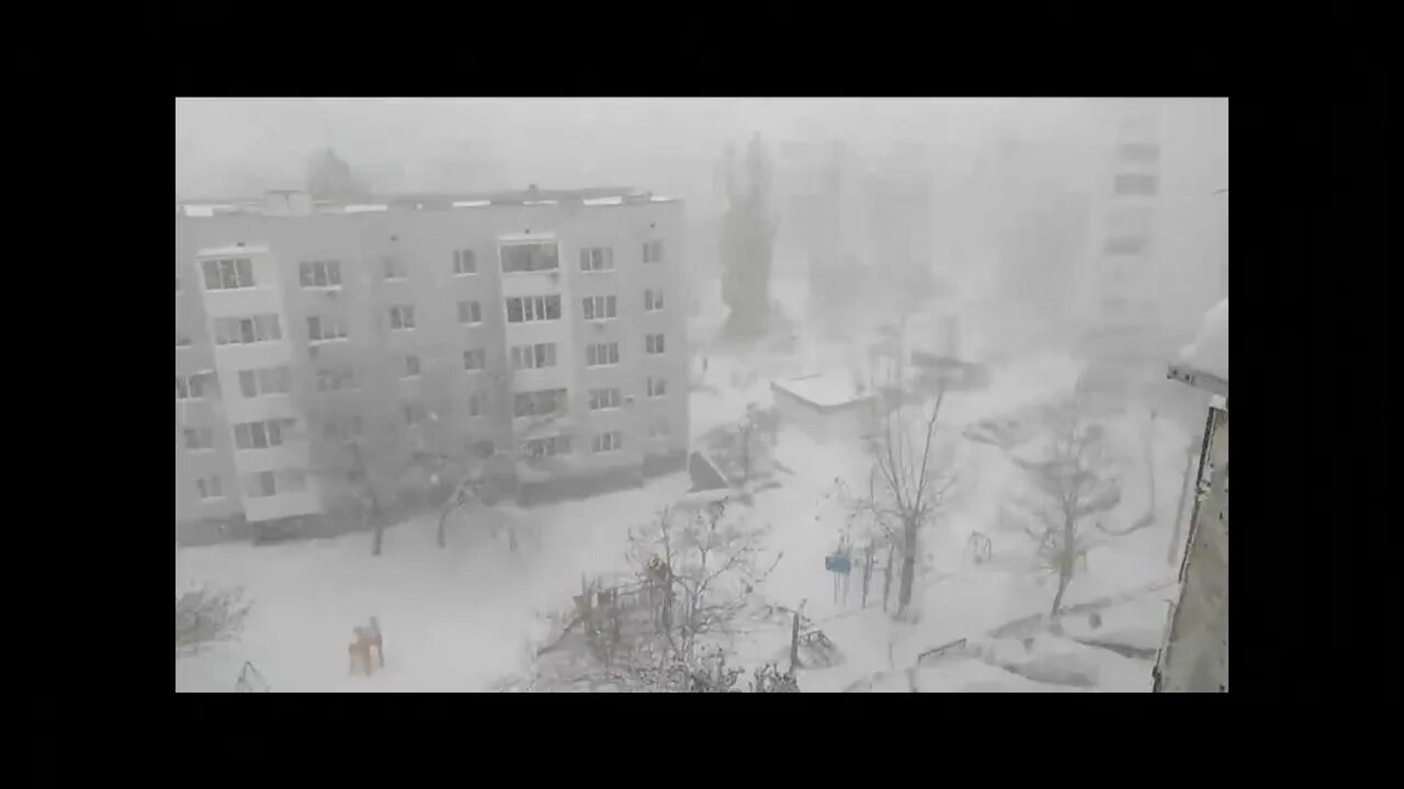 Такова снегопада давно не помнят. Такого снегопада давно не помнят здешние места. самоцветы такого снегопада. такого снегопада автор. такого снегопада клип.