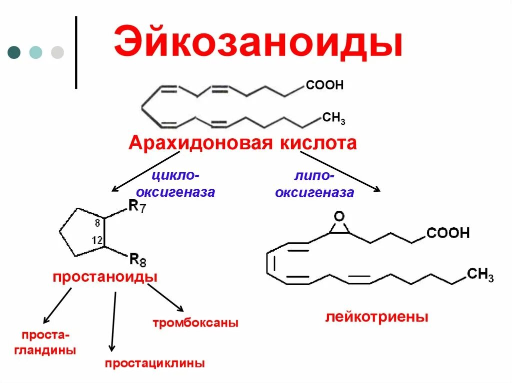 Формула арахидоновой кислоты. Арахидоновая кислота простагландины. Схема синтеза эйкозаноидов из арахидоновой кислоты. Арахидоновая кислота формула биохимия. Арахидоновая кислота 20 4.