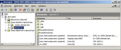 Зона обратного просмотра dns