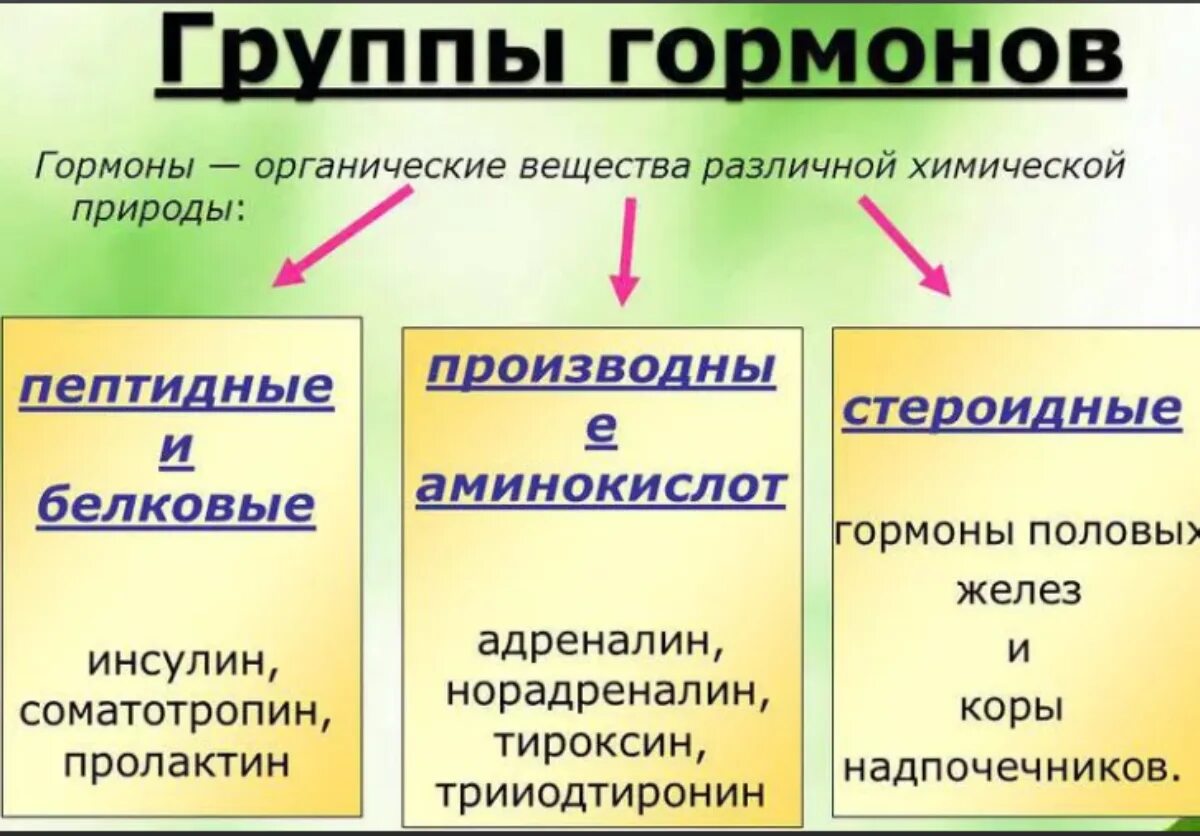 Гормоны. Гормоны примеры. Разновидности гормонов. Основные группы гормонов.