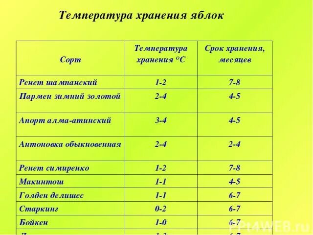 При какой температуре хранится фрукты овощи. Хранение яблок температурный режим. Устови яхранения яблок. Оптимальная температура для хранения яблок. Срок хранения яблок.