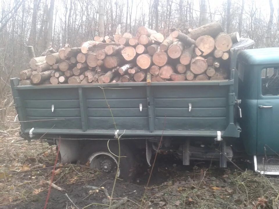 Сколько дров в камазе. ЗИЛ 131 груженый дровами. ЗИЛ 130 самосвал с дровами. ЗИЛ 130 дрова береза. КАМАЗ дров 5 кубов.