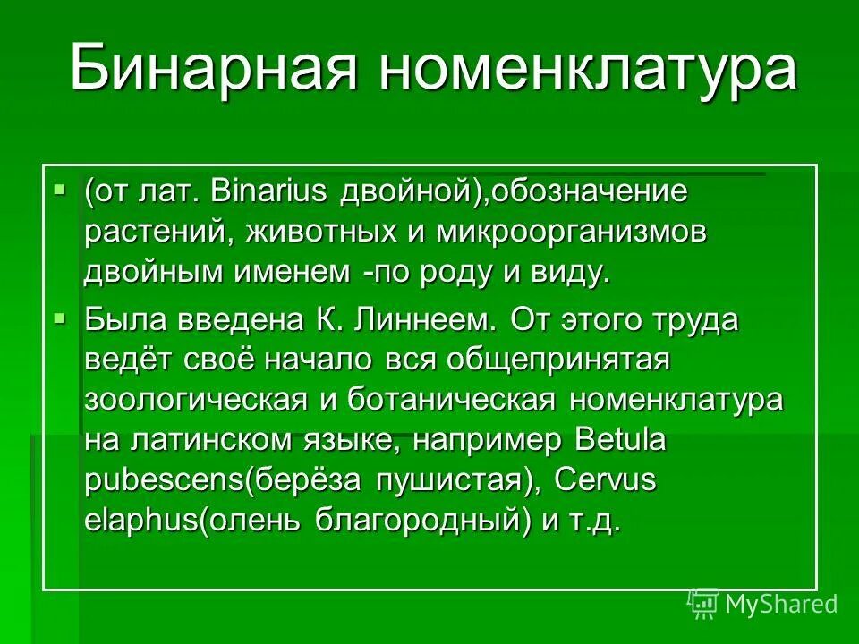 Бинарная номенклатура видов это. Бинарная номенклатура это в биологии. Примеры бинарных названий. Двойное название для обозначения видов