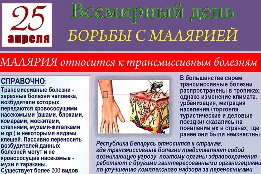 Почему для борьбы с малярией. День борьбы с малярией. Всемирный день борьбы против малярии. Профилактика малярии памятка. 25 Апреля Всемирный день борьбы с малярией.