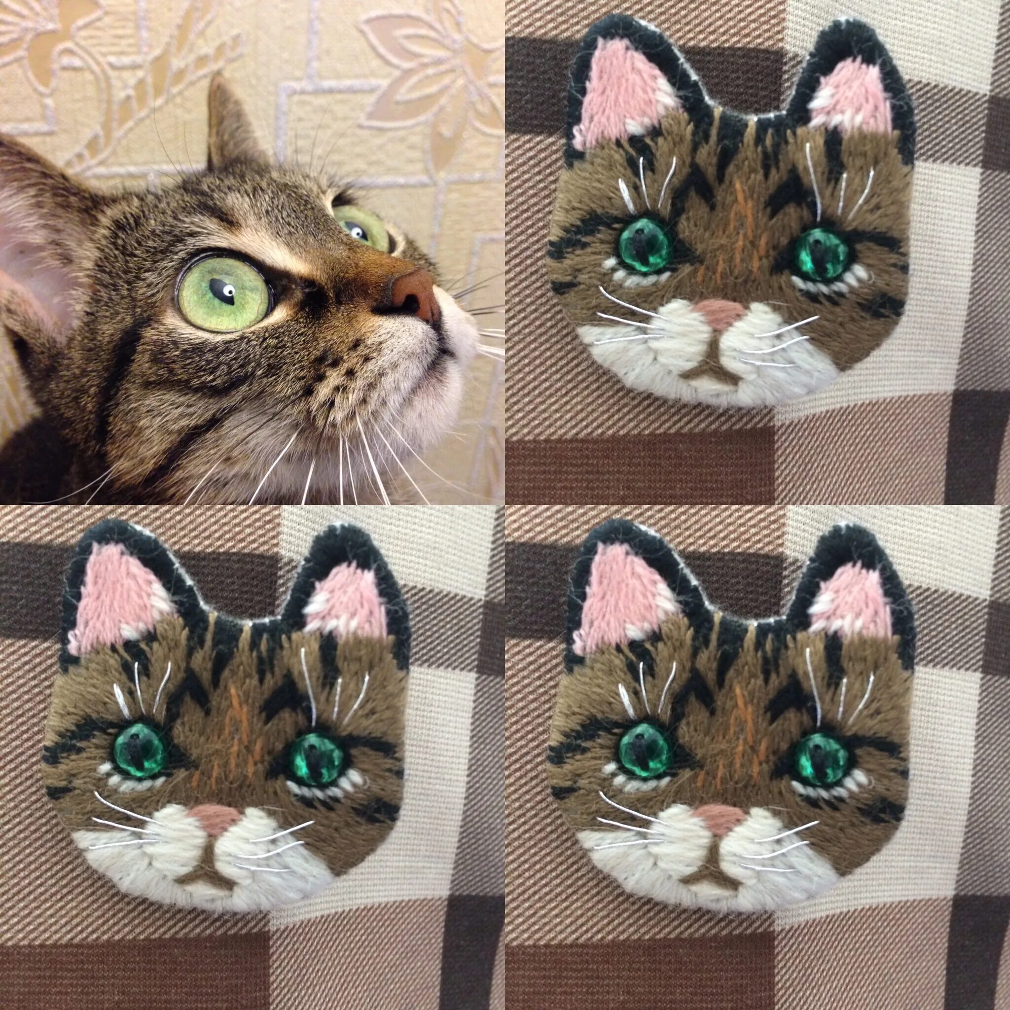 Создать класс cat