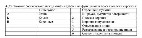 Установите соответствие особенности строения водоросли
