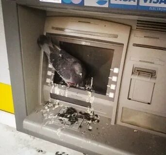 Банкомат сожрал деньги