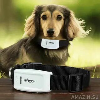 Gps трекер для животных