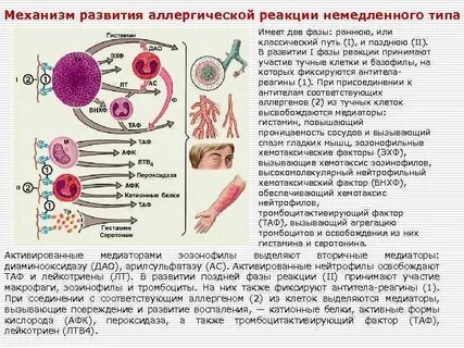 Аллергия немедленного типа